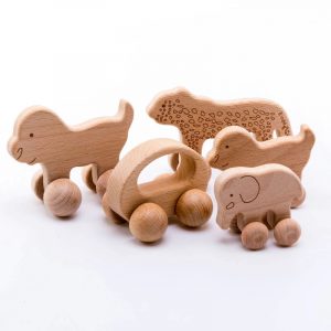 Montessori Wooden Toys